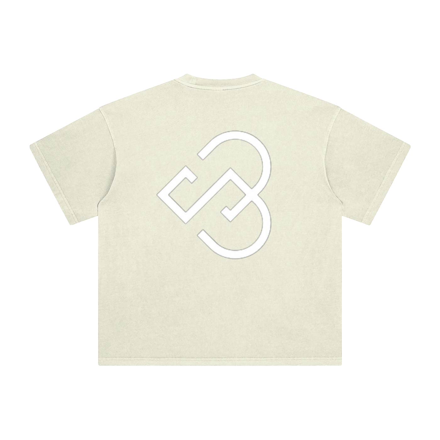 Enzyme Washed T-Shirt